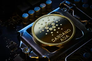 Cardano Staking pool