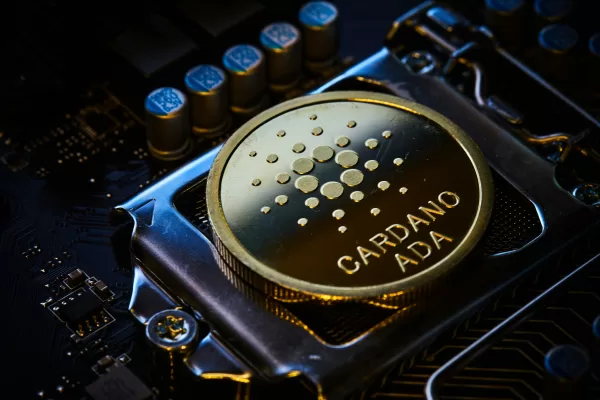 Cardano Staking pool